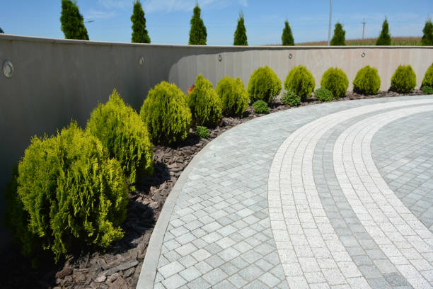 Best Driveway Paving Contractor  in White Marsh, MD